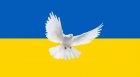 Ukraine-Taube